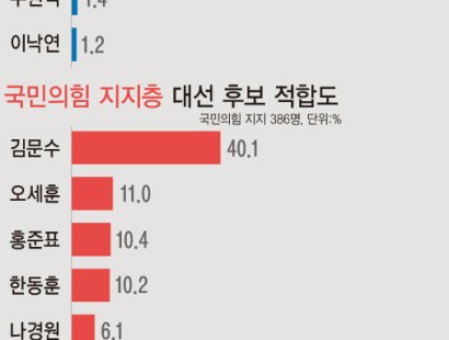 [뉴시스]차기 대선 '국힘 후보' 39.6% '민주 후보' 51.9%…이재명 45.1% 김문수 17.3%[에이스리서치]