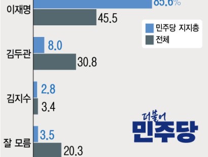 [뉴시스·에이스리서치] 이재명 45.5%, 김두관 30.8%, 김지수 3.4%…민주당 지지층에선 이재명 압도적 우위