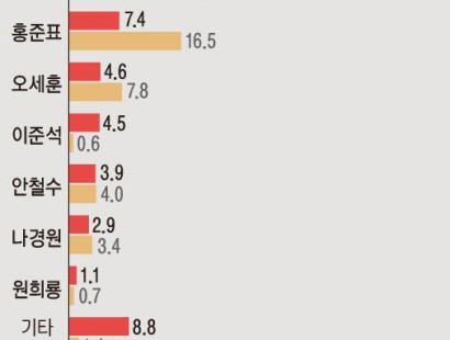 [뉴시스]범여권 후보 중 김문수 20.5%·범야권 후보 중 이재명 46.5%[에이스리서치]