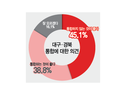 [영남일보 창간 79주년 여론조사] 우리 지역 시도민들, 대구경북 행정통합 반대 45%…찬성은 38%