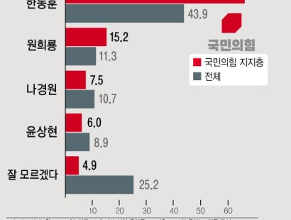 [뉴시스·에이스리서치]여 차기 당 대표…한동훈 43.9%, 원희룡 11.3%, 나경원 10.7%, 윤상현 8.9%