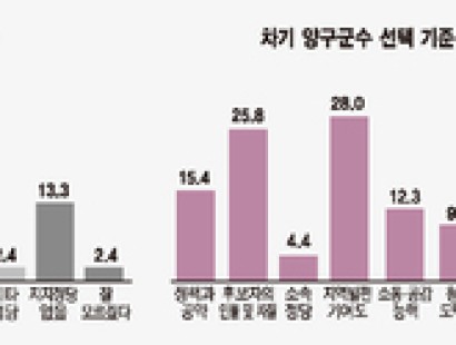 [강원일보-양구]당 지지율 흡수 못한 여야 후보들⋯무소속 상승세 ‘변수’[에이스리서치]