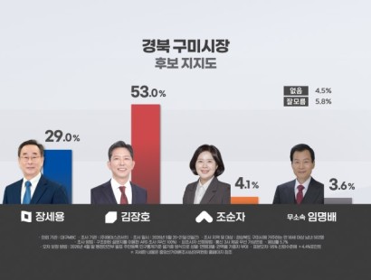 [대구MBC] 경북 구미시장 여론조사, 김장호 53%·장세용 29%···김장호 오차범위 밖 '우세[에이스리서치]